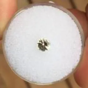 0.46 CT WHITE WEDDING MONTANA SAPPHIRE ALL NATURAL