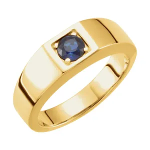 14k Yellow Gold Sapphire Men's Ring, Size 7