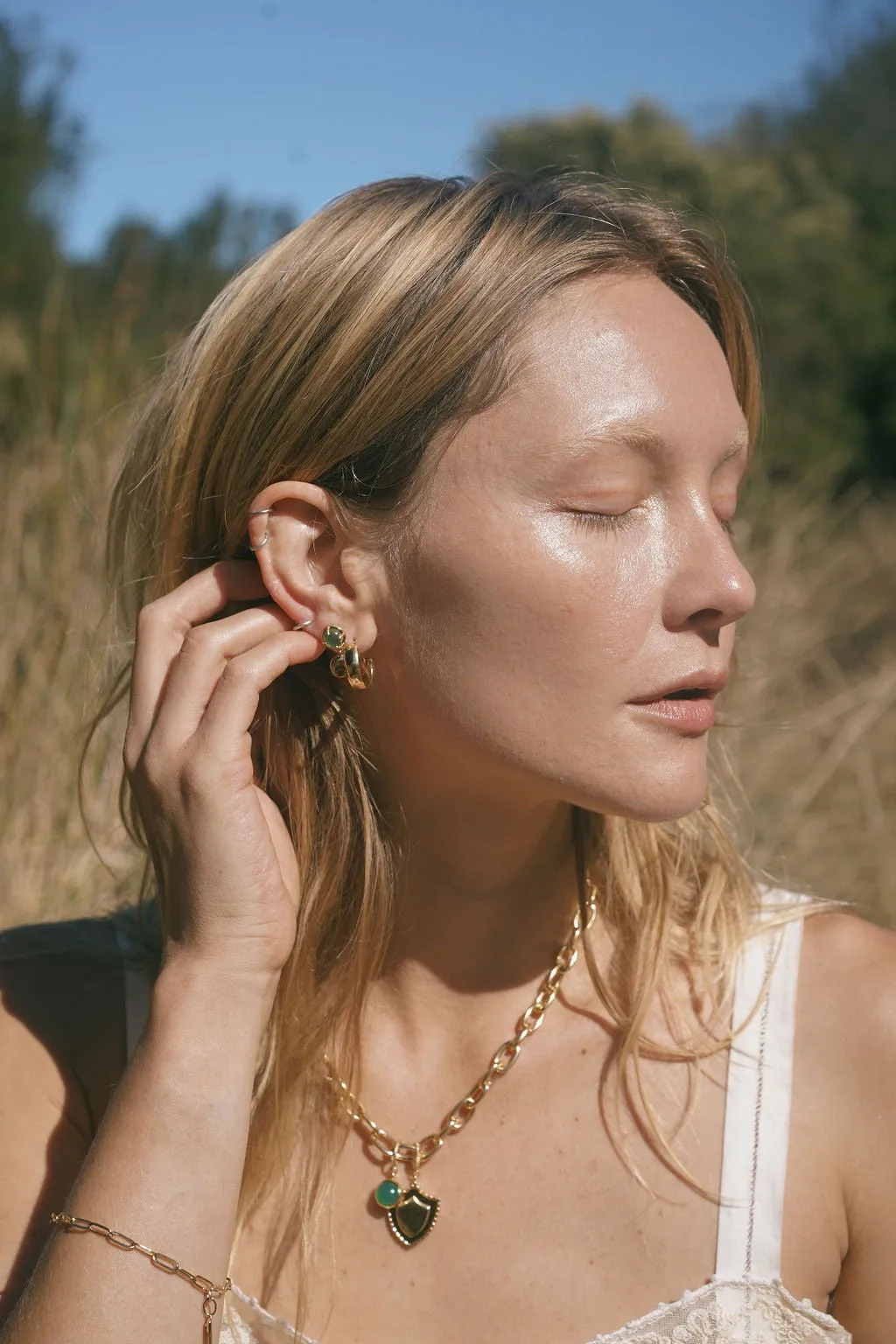 Large Dome Hoops