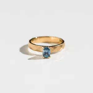Montana Sapphire Oval Ring on Quilted Band in 14k Gold