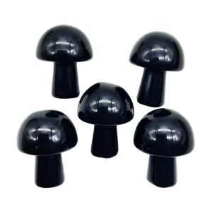 Neyisaa 5Pcs Mini Mushroom Shaped Gemstone Statue Figurine, Carved Crystal Stone Mushrooms Crafts for Healing Chakra Reiki Balancing Home Decoration, Black Obsidian