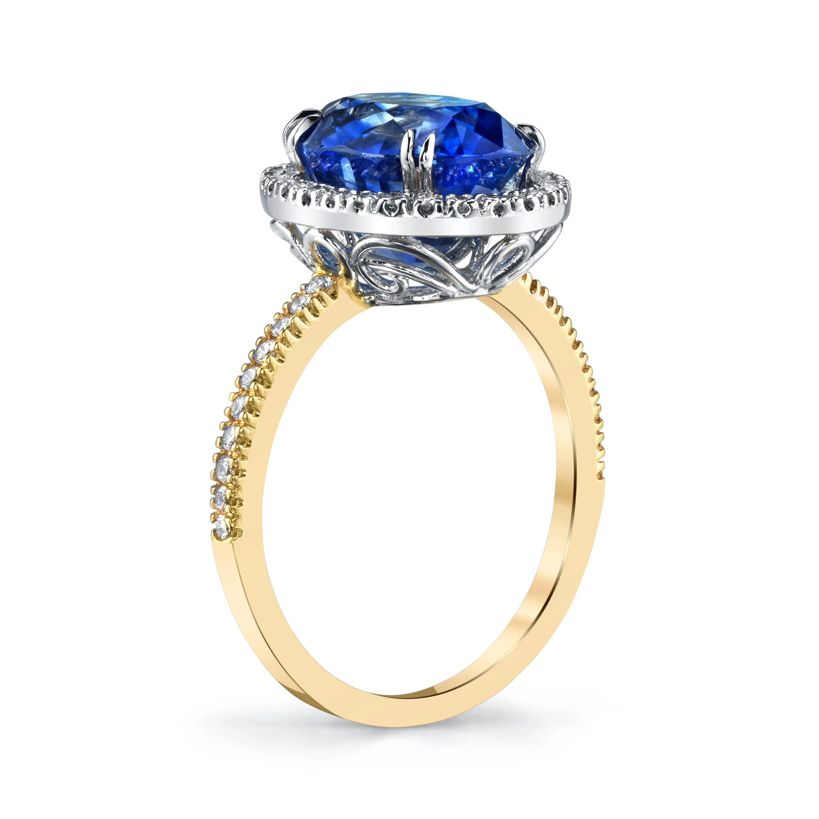 Oval Sapphire Ring