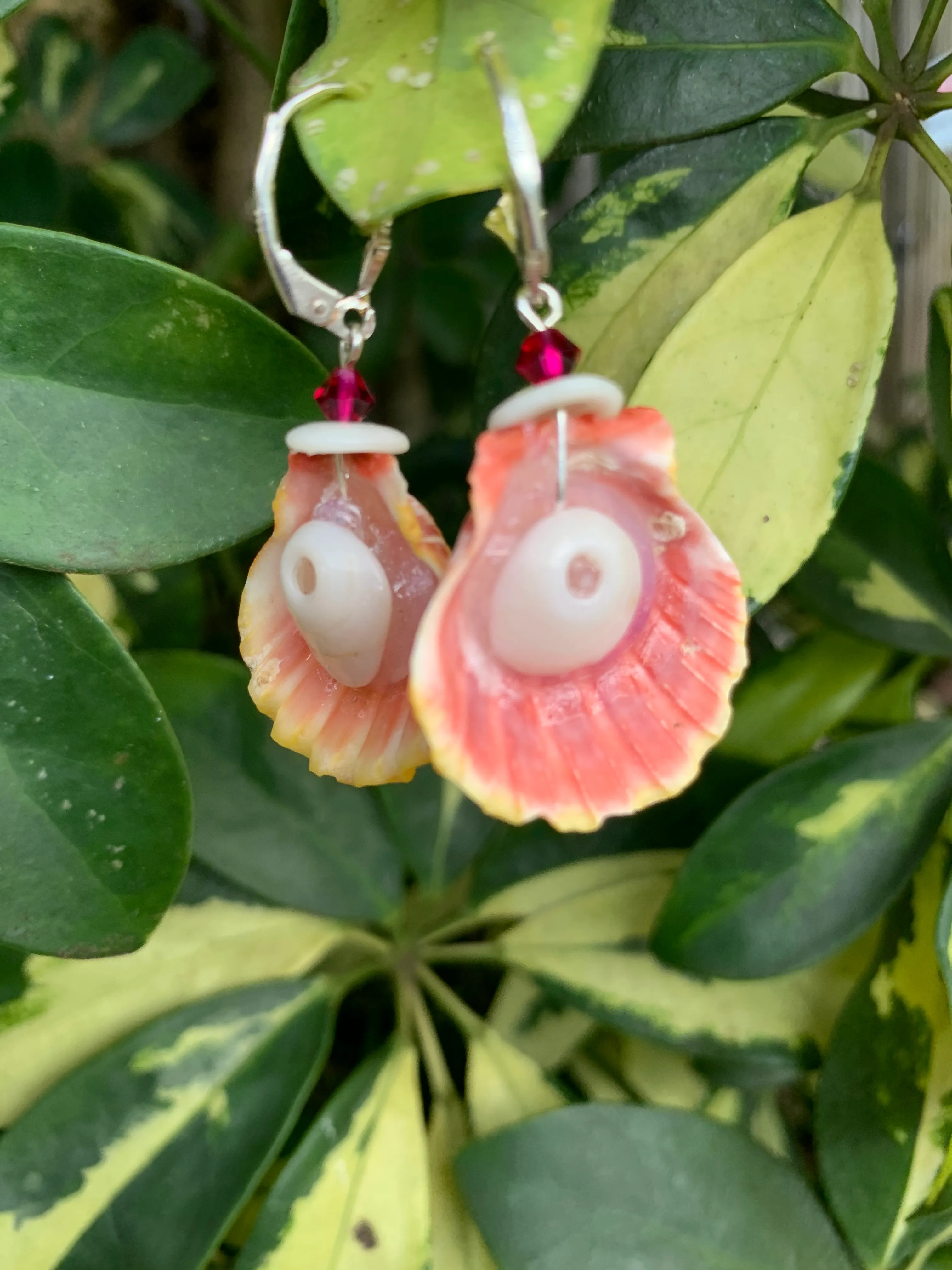 SUNRISE SHELL EARRING-CC