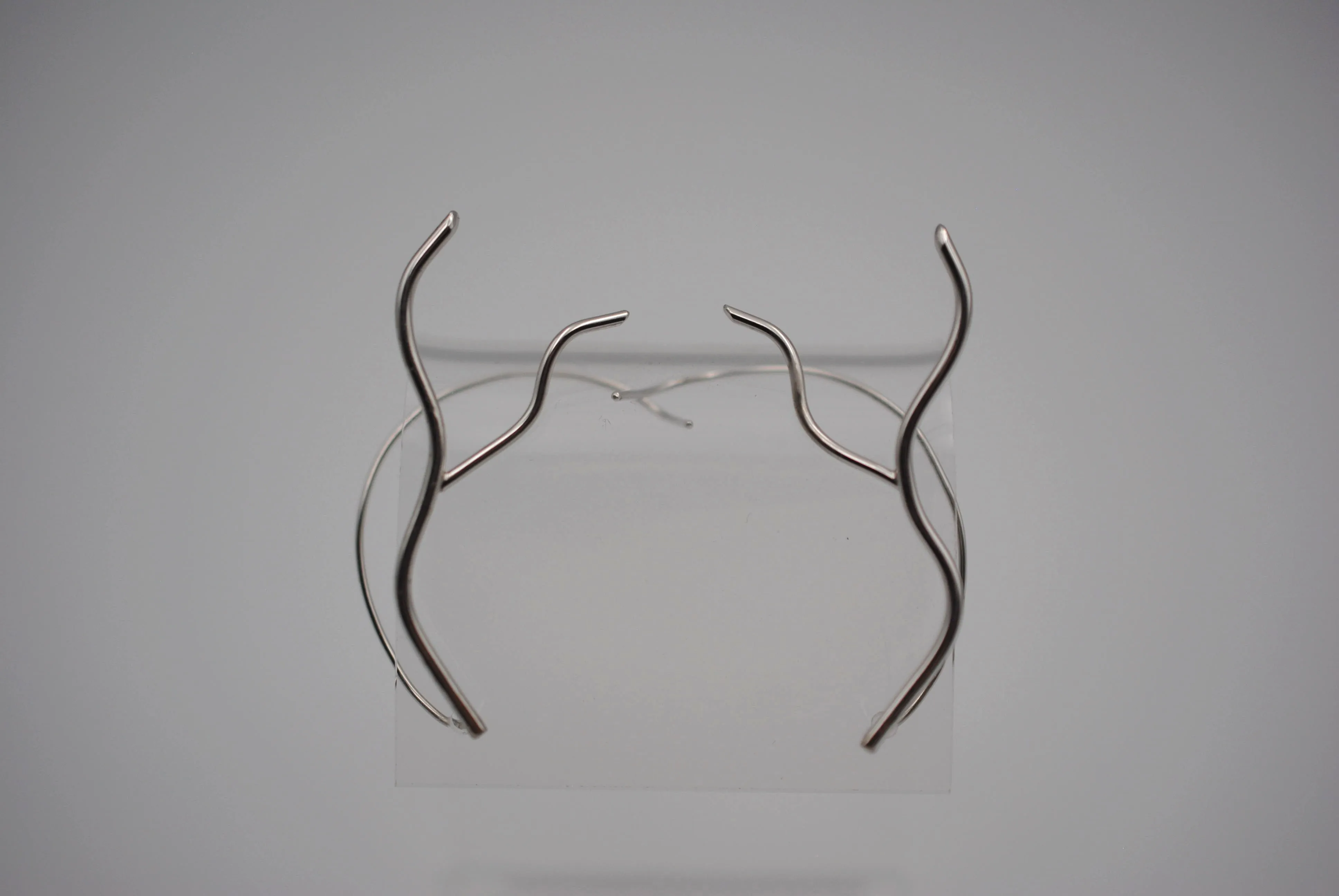 Vine Rhodium Roots Ear Climbers
