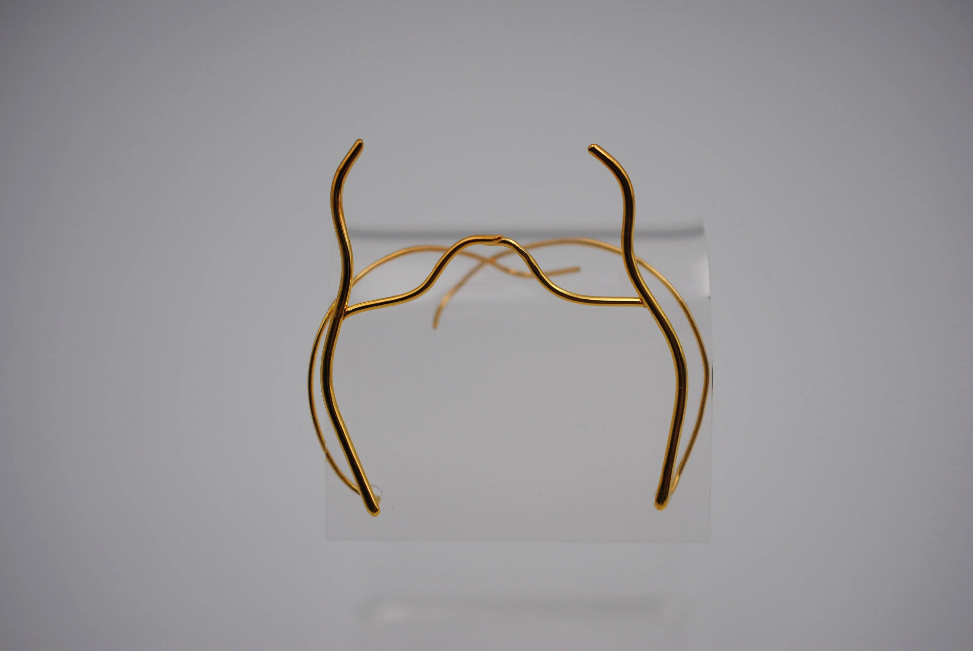 Vine Yellow Gold Roots Ear Climbers